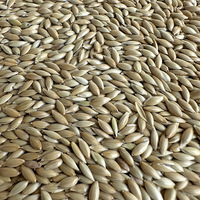 Mélange de graines de qualité supérieure Geshifeng pour oiseaux, alimentation pour perroquets, millet naturel, graines de canaris, graines de tournesol, pour canaris et perruches, fabrication en usine