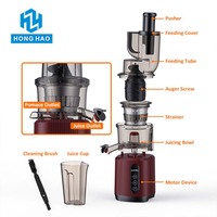 Professionele Maatwerk Elektrische Fruit Slow Juicer Touch Control Grote Mond Koude Pers Commerciële Juicer