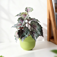 Feuilles de bégonia artificielles de haute qualité, aspect réaliste, toucher naturel, plastique, faux feuillage pour balcon intérieur/extérieur, jardin domestique