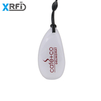 Porte-clés personnalisé étanche avec impression RFID, étiquette NFC en époxy, MF EV2 4K, avec anneau métallique