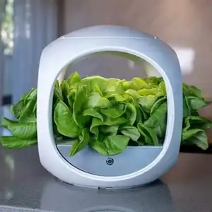 Intelligenter Hydro ponic Herb Garden Selbst bewässern der Pflanzer Indoor Growing System Tragbarer Smart Garden mit LED-Licht