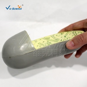 Modelo de estructura de orgánulos celulares, modelo de enseñanza de anatomía celular animal y vegetal, fuente de enseñanza para la educación en ciencias médicas - Product Image 3