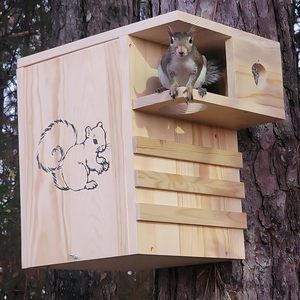 Casetta per Scoiattoli e Piccoli <span class=keywords><strong>Animali</strong></span> in Legno Resistente alle Intemperie, Extra Large con Veranda Esterna - Product Image 6