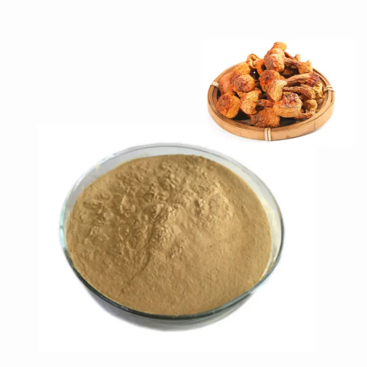 Herbasea Agaricus Bisporus Knop Paddestoel Extract 100% Polysaccharide Poeder
