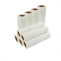 Offre Spéciale – Film de Transfert Thermique DTF Double Face en PET de 60 cm de Large, Encre Réfléchissante, Impression A3/A4 pour Textiles Froids et Vêtements