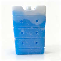 CHANGBEI Pack de glace réutilisable portable pour glacière, isolation thermique, stockage au frais