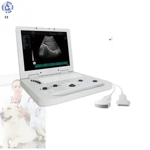 Popüler satış taşınabilir tıbbi obstetrik jinekoloji 3D 4D ultrason makinesi