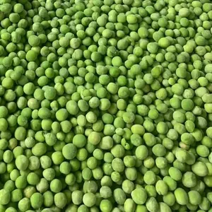 IQF — légumes en vrac, noix verte glacée, vente en gros