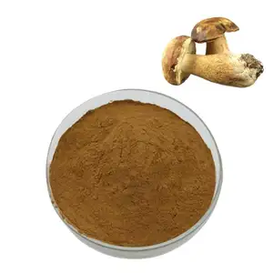 Органический Пенни булочка, экстракт грибов, порошковый экстракт порошка, чистый экстракт плода эдулиса, 10%-30% Полисахариды