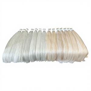 Extensions de Cheveux Naturels Vietnamiens les Plus Vendues, 12-34 Pouces, Couleur Platine, 100% Doux et Soyeux, Super Double Drawn, Haute Qualité - Product Image 1