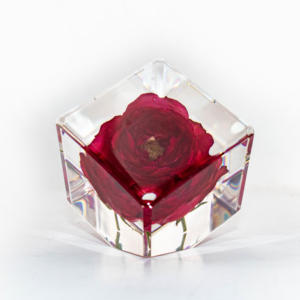 Flor de rosa roja auténtica, resina epoxi artesanal para decoración del hogar en cubo, decoración de boda, 60x60x60mm - Product Image 5