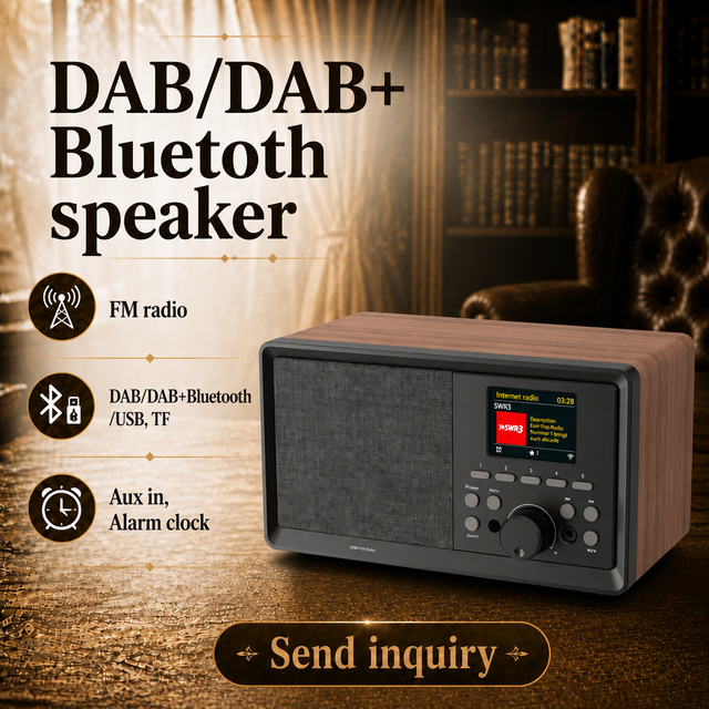 Private Mold OEM Custom Logo Retro DAB Plus FM BT Audio USB TF Card TFT Color Display Dual Alarm Clock Home Desktop Radio