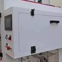 Machine de remplissage automatique de liquides corrosifs pour détergents, eaux de Javel, nettoyants pour toilettes et sols, équipement de remplissage chimique à flux automatique