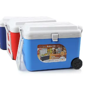 Gint Hot Sale GINT 50l Tragbare Eiskühlbox mit Rädern Camping Cooler Box