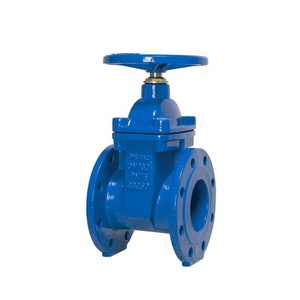 Valvola a Saracinesca con Stelo Non Saliente in Ghisa Sferoidale SABS 664 PN10/PN16 con Guarnizione Resiliente - Product Image 2