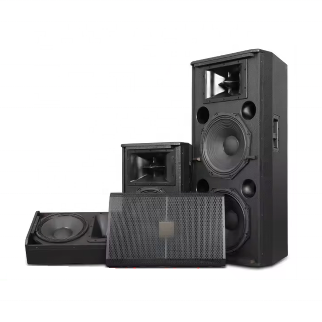 Top Quality Professional Audio Sound Equipment Customized 10 12 15 Inch Woofer Multifunctional Passive Stage Speakers