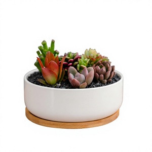 Pot de fleurs en céramique blanche émaillée pour plantes succulentes – Contenant minimaliste pour plantes de bureau pour la décoration de la maison et du bureau - Product Image 3