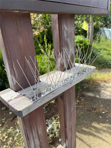 เดือยไล่นกสแตนเลสสำหรับควบคุมนกพิราบ ป้องกันนกตก สำหรับหลังคา รั้ว หน้าต่าง ขอบหน้าต่าง ภายนอกอาคาร - Product Image 4