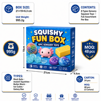 Southpeak Toy Squishy Fun Box 8PC Jouets sensoriels à presser Axolotl Mesh Ball Butter Ice Cube Galaxy Bao BOSS 21x19cm MOQ48 OEM WS
