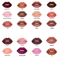 Vente en gros de rouge à lèvres pailleté végétalien mat personnalisé imperméable à l'eau en velours cosmétique marque privée brillant à lèvres chatoyant plus dodu