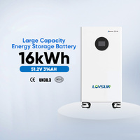 Batterie de stockage d'énergie de type solaire à grande capacité 51,2V 314AH 16kWh pour usage résidentiel