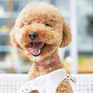 <span class=keywords><strong>Collar</strong></span> de perro de cuero genuino de alta calidad ajustable, <span class=keywords><strong>Collar</strong></span> de perro de cuero impermeable personalizado de lujo con Hardware de aleación - Product Image 6