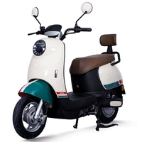 Sepeda Motor Cruiser Listrik Model Baru Grosir Pabrik, Sepeda Kota Listrik, Layanan Bagus, Sepeda Motor Listrik untuk Dewasa