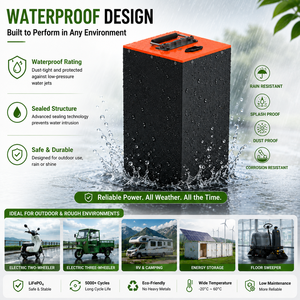Batterie LFP 72V/76.8V 15Ah 20Ah 25Ah 30Ah 50Ah 65Ah 24S1P avec BMS intelligent BT pour voiturettes de golf/maritime/navettes OEM/ODM - Product Image 2