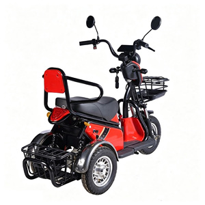 Tricycle électrique 48V 1000W, tricycle cargo, tricycle à carrosserie ouverte avec panier, couleur personnalisable, trike électrique - Product Image 5