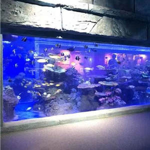 Conception d'aquarium acrylique en plastique personnalisé en usine une maison pour chaque espèce de poisson - Product Image 3