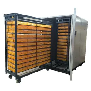 Incubadora de huevos de pollo y aves de corral, precio del termostato, máquina de incubar pollos, HJ-IH8448, 8500