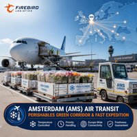 Agent de fret Firebird Dongguang Ningbo vers les Pays-Bas et le Royaume-Uni, livraison porte-à-porte, agent logistique express DDP/DDU, fret aérien