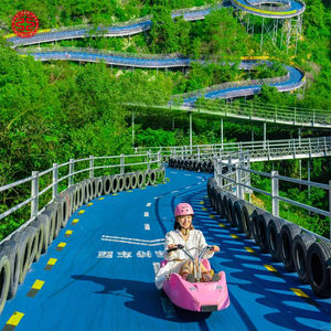 Nouveaux sports de loisirs en plein air Scenic Spot <span class=keywords><strong>Luge</strong></span> Mountain Slide Non-powered Roller Coaster - Product Image 4