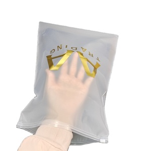 Webshop Resealable Frosted Plastic Zipper Bags Customized Self Adhesive Seal Accessories Jewelry Clothing Packaging Bags