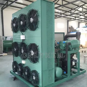 Best Marine Cold Room Refrigeration Condensing Unit Compressor for Fish