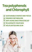 Poudre de thé vert Matcha OEM – Soutien immunitaire, amincissant, antioxydant, faible en sucre, végétalien – Marque privée, approvisionnement en vrac pour hommes adultes – Durée de conservation : 2 ans
