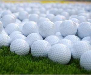 Compre Pelotas <span class=keywords><strong>de</strong></span> <span class=keywords><strong>Golf</strong></span> al por Mayor en Línea, Personalizadas, Ligeras, Económicas, Grabadas, con Clasificación <span class=keywords><strong>de</strong></span> Valor, con Diseño <span class=keywords><strong>de</strong></span> Trébol - Product Image 5