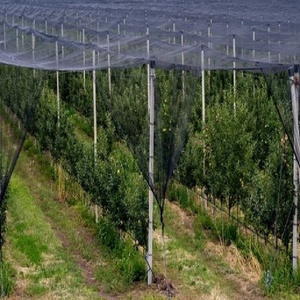 Gri HDPE plastik Anti Hail gölgelik düz dokuma tarım tel örgü rulosu için araba koruyucu yapısı hasat agrotekstil Ykqt-82 - Product Image 3