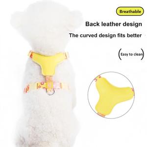 Pettorina Kangdarpet per Cani di Piccola e Media Taglia, Pomerania, Collare Colorato con Guinzaglio per Esterni dal Design Traspirante - Product Image 6