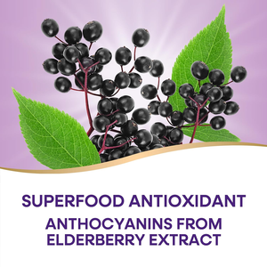 Approvisionnement direct d'usine 100% poudre de fruit de sureau soluble dans l'eau/poudre de jus de sureau/poudre de sureau - Product Image 5