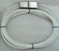 Hongsheng FTTH 1*2 1*4 1*8 1*16 1*32 Mini PLC Modular Tray-type Optical Splitter dengan Konektor SC/LC/FC/ST Serat Optik Telanjang