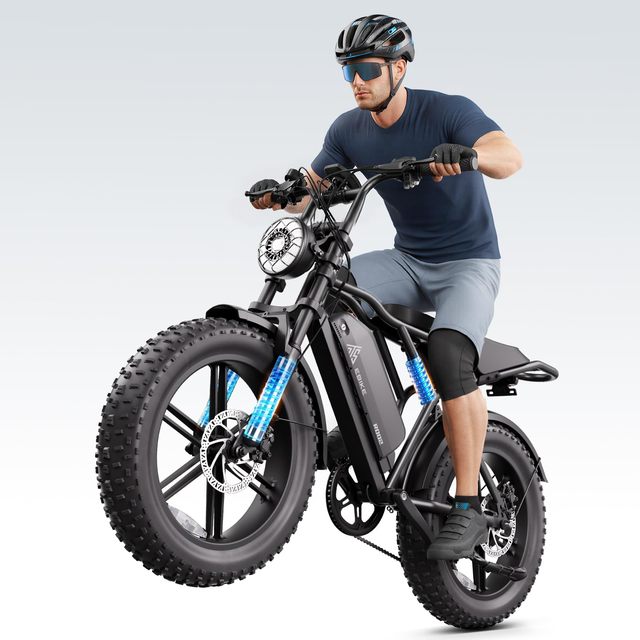 Manufacturer New Style 250w 48v 15Ah Disc Brake 20'' Fat Tire Electric Bike Wholesale Off Road Mountain City Electric Bicycle
