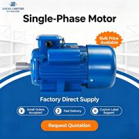 Moteur monophasé à condensateur 0,75 kW 1 CV 2 pôles, en fonte, à démarrage facile, norme IE1, 220 V 50/60 Hz, entretien simplifié