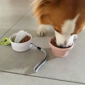 Extérieur 3 en 1 Silicone Pet Bowl Merde Sac Distributeur Accessoires Boire Manger Mangeoire Tasse Chien Bouteille D'eau Avec Conteneur De Nourriture - Product Image 4