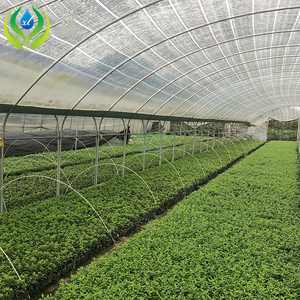 ท่อชุบสังกะสีสวน Hydroponic พลาสติกหลั่งสุทธิเรือนกระจกสำหรับการเกษตรหอยทาก - Product Image 3