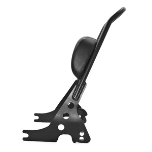 Подушка спинки мотоцикла RACEPRO на заказ, подушка для мотоцикла Sissybar для Harley Sportster, железная 1200 883 XL 2004-2020 - Product Image 3