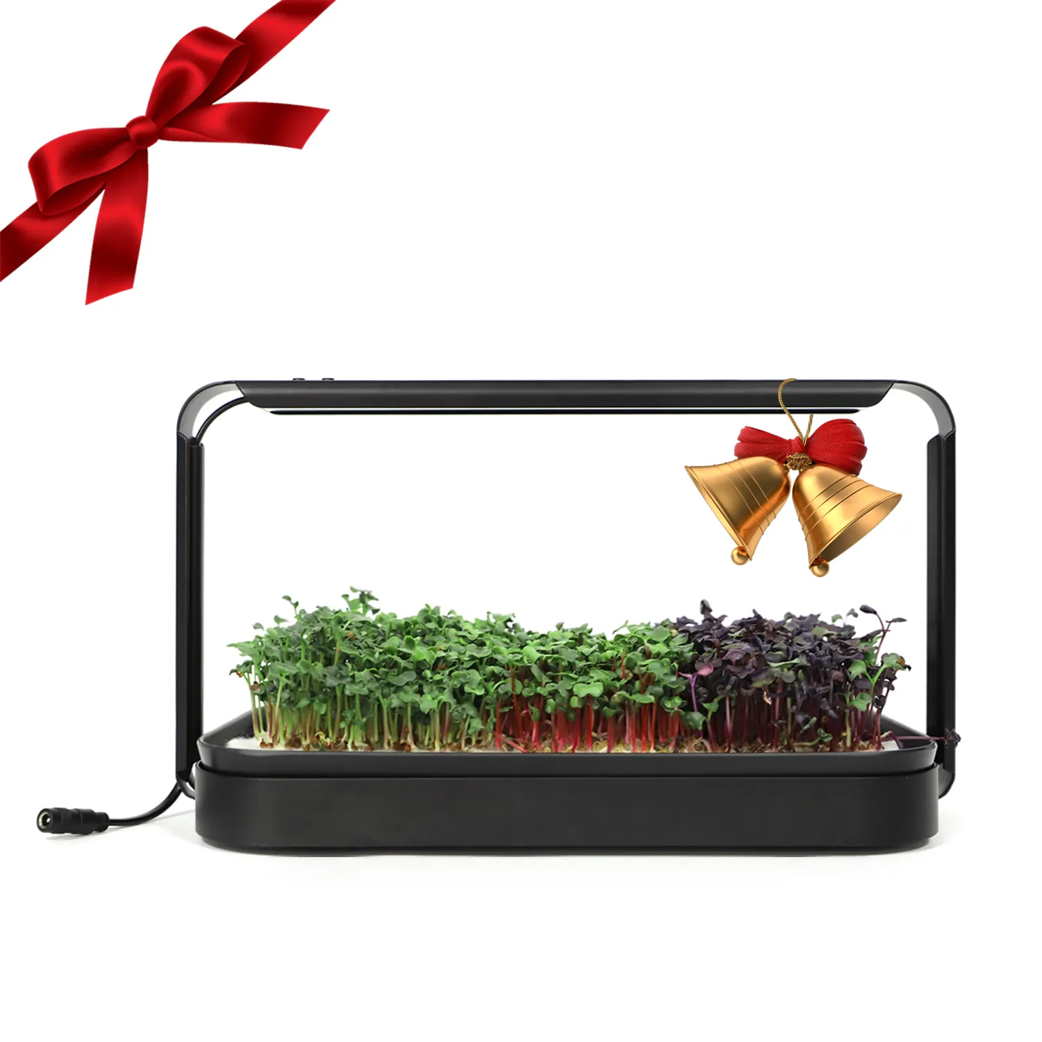 Timer automatico coltiva microgreens da tavolo germogli da cucina che coltivano kit di coltivazione per piante da interno