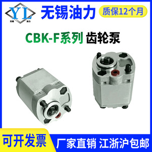 ปั๊มไฮดรอลิกแบบเกียร์รองรับอุตสาหกรรมประสิทธิภาพสูง CBK-F0.8122.02.52.73.0 ชุดจ่ายกำลังปั๊มน้ำมันไฮดรอลิก - Product Image 4