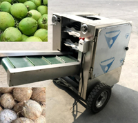 Machine de haute qualité pour retirer la fibre de noix de coco, machine à retirer la peau de noix de coco, machine à éplucher la peau brune de noix de coco