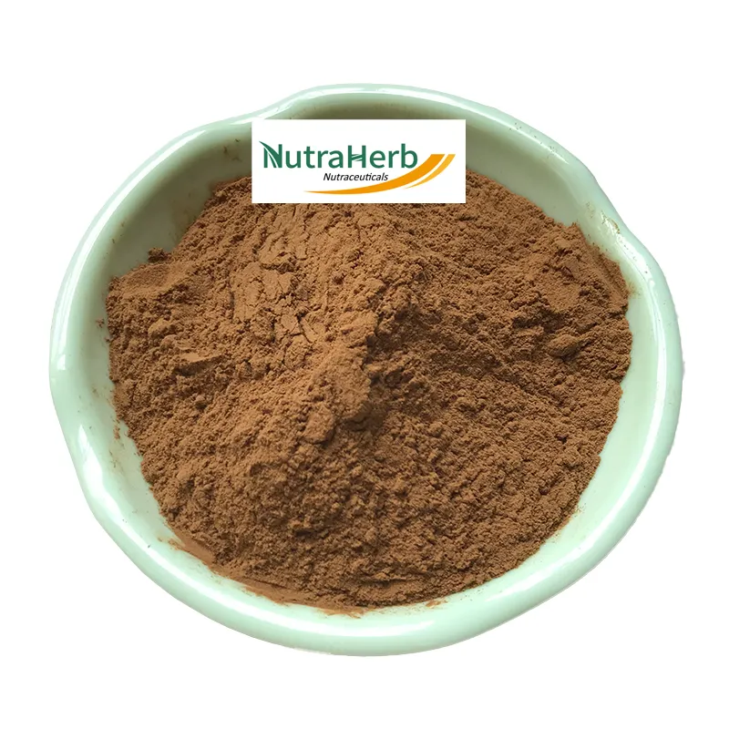 Nuovo lotto di estratto di semi di data della colonna vertebrale 100% naturale estratto di semi di giuggiola 10:1 con l'alta qualità